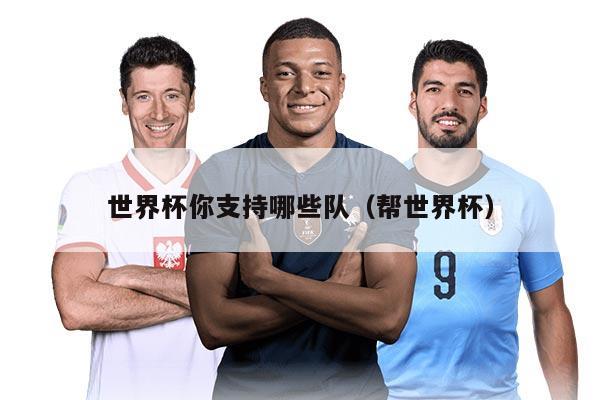世界杯你支持哪些队（帮世界杯）