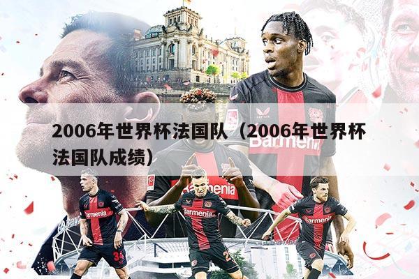 2006年世界杯法国队（2006年世界杯法国队成绩）