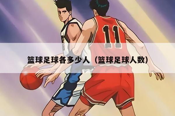 篮球足球各多少人（篮球足球人数）