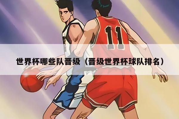 世界杯哪些队晋级（晋级世界杯球队排名）