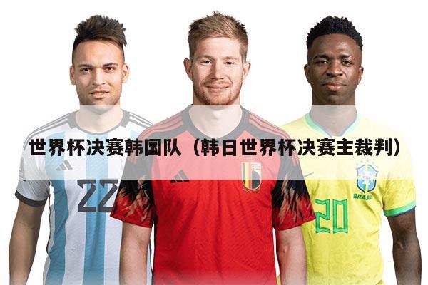 世界杯决赛韩国队（韩日世界杯决赛主裁判）
