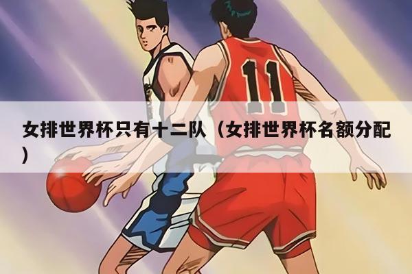 女排世界杯只有十二队（女排世界杯名额分配）