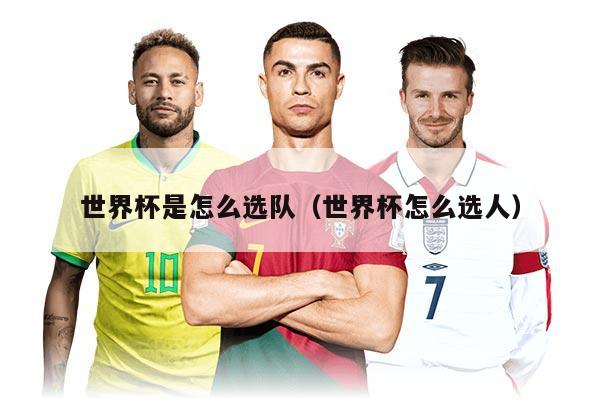 世界杯是怎么选队（世界杯怎么选人）