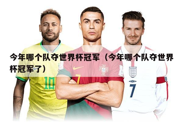 今年哪个队夺世界杯冠军（今年哪个队夺世界杯冠军了）