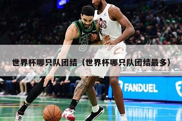 世界杯哪只队团结（世界杯哪只队团结最多）