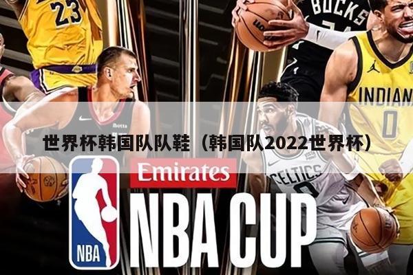 世界杯韩国队队鞋（韩国队2022世界杯）
