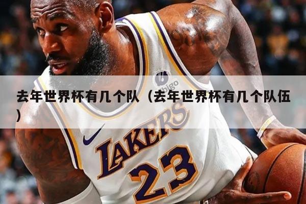 去年世界杯有几个队（去年世界杯有几个队伍）