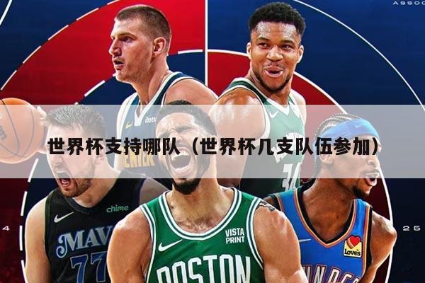 世界杯支持哪队（世界杯几支队伍参加）