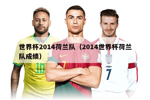 世界杯2014荷兰队（2014世界杯荷兰队成绩）