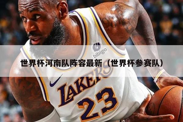 世界杯河南队阵容最新（世界杯参赛队）