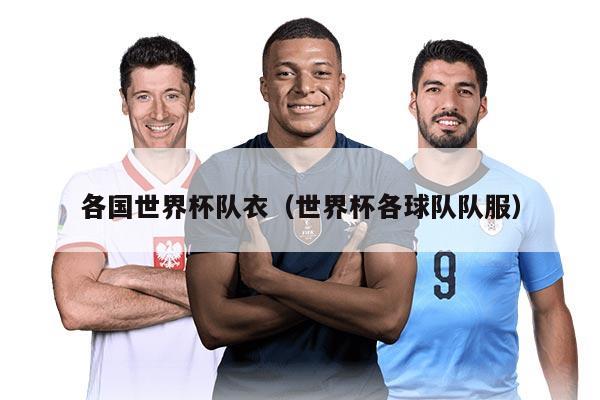 各国世界杯队衣（世界杯各球队队服）