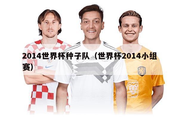 2014世界杯种子队（世界杯2014小组赛）
