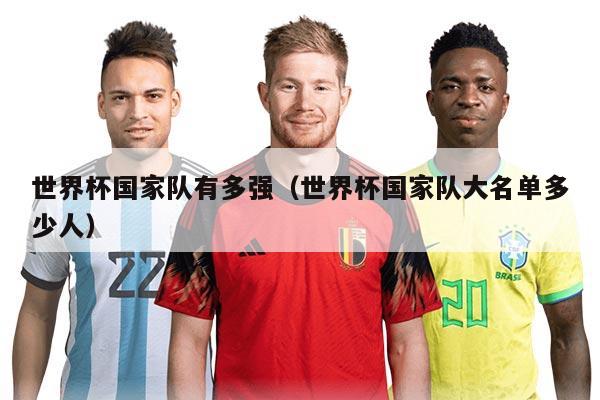 世界杯国家队有多强（世界杯国家队大名单多少人）