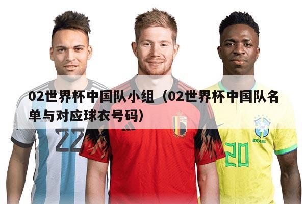 02世界杯中国队小组（02世界杯中国队名单与对应球衣号码）