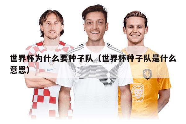 世界杯为什么要种子队（世界杯种子队是什么意思）