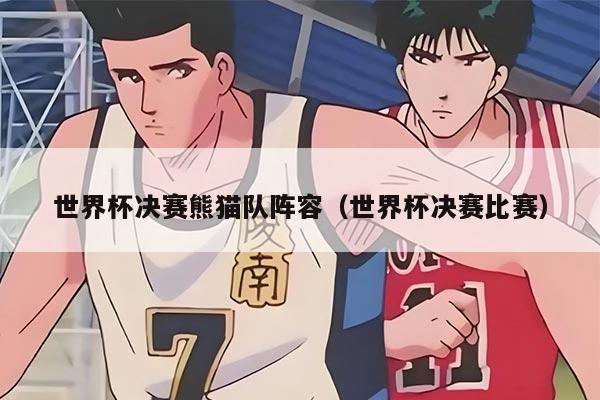世界杯决赛熊猫队阵容（世界杯决赛比赛）