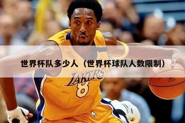世界杯队多少人（世界杯球队人数限制）