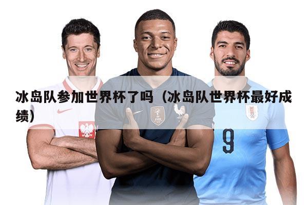 冰岛队参加世界杯了吗（冰岛队世界杯最好成绩）