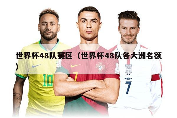 世界杯48队赛区（世界杯48队各大洲名额）