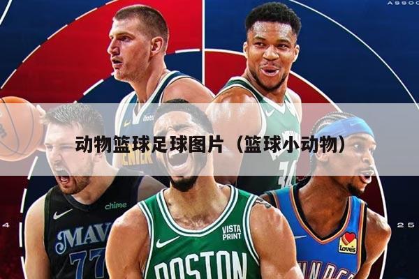 动物篮球足球图片（篮球小动物）