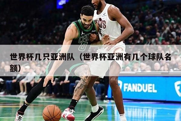 世界杯几只亚洲队（世界杯亚洲有几个球队名额）