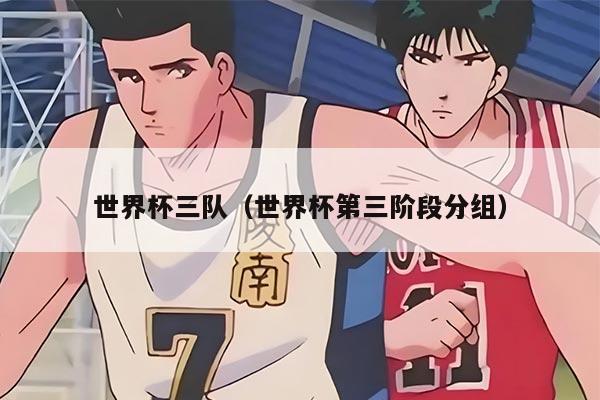 世界杯三队（世界杯第三阶段分组）