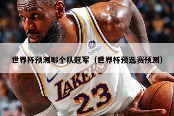 世界杯预测哪个队冠军（世界杯预选赛预测）