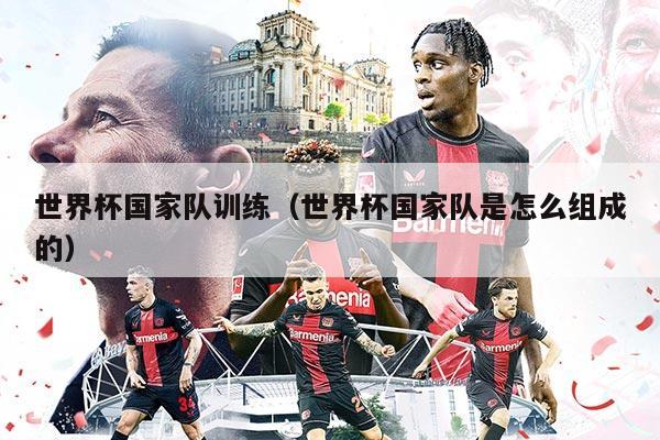 世界杯国家队训练（世界杯国家队是怎么组成的）