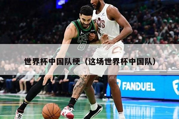 世界杯中国队梗（这场世界杯中国队）