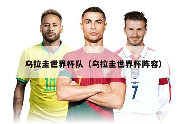 乌拉圭世界杯队（乌拉圭世界杯阵容）