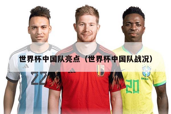 世界杯中国队亮点（世界杯中国队战况）