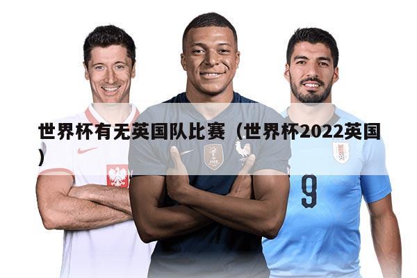 世界杯有无英国队比赛（世界杯2022英国）