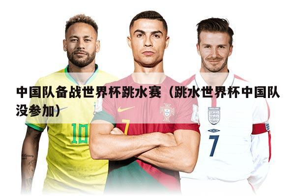 中国队备战世界杯跳水赛(跳水世界杯中国队没参加)