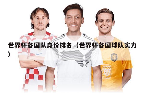 世界杯各国队身价排名(世界杯各国球队实力)